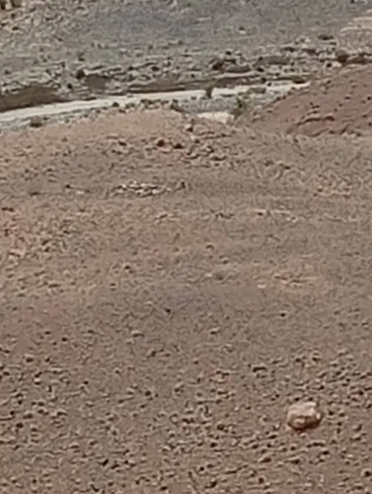 زمین تجاری مسکونی
