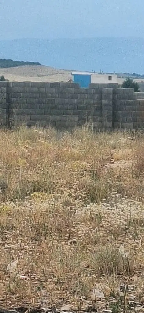 زمین باغشهری واقع در قره چمن