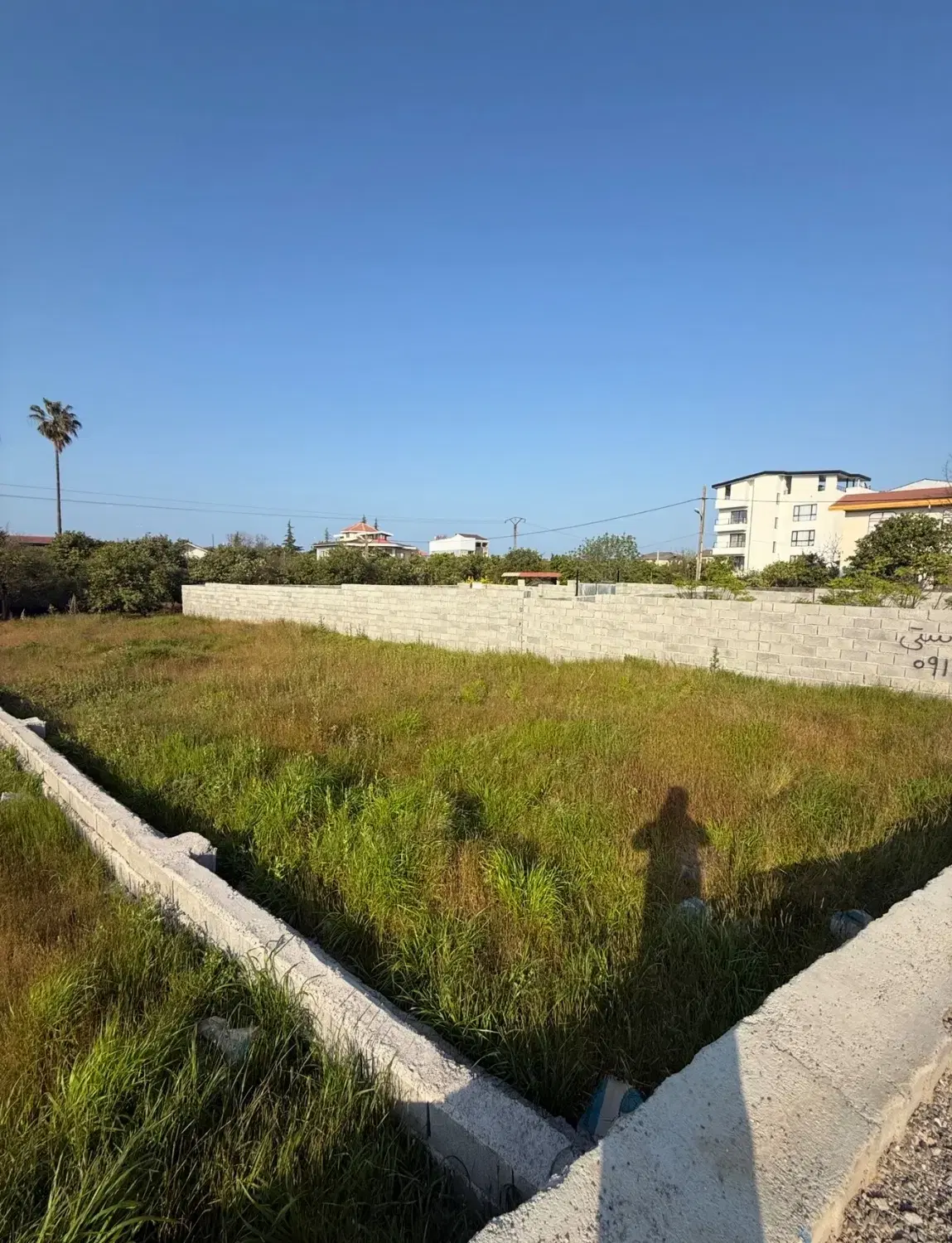 ۳۵۵ متز زمین مسکونی با ۱۵۰ متر جواز در رامسر