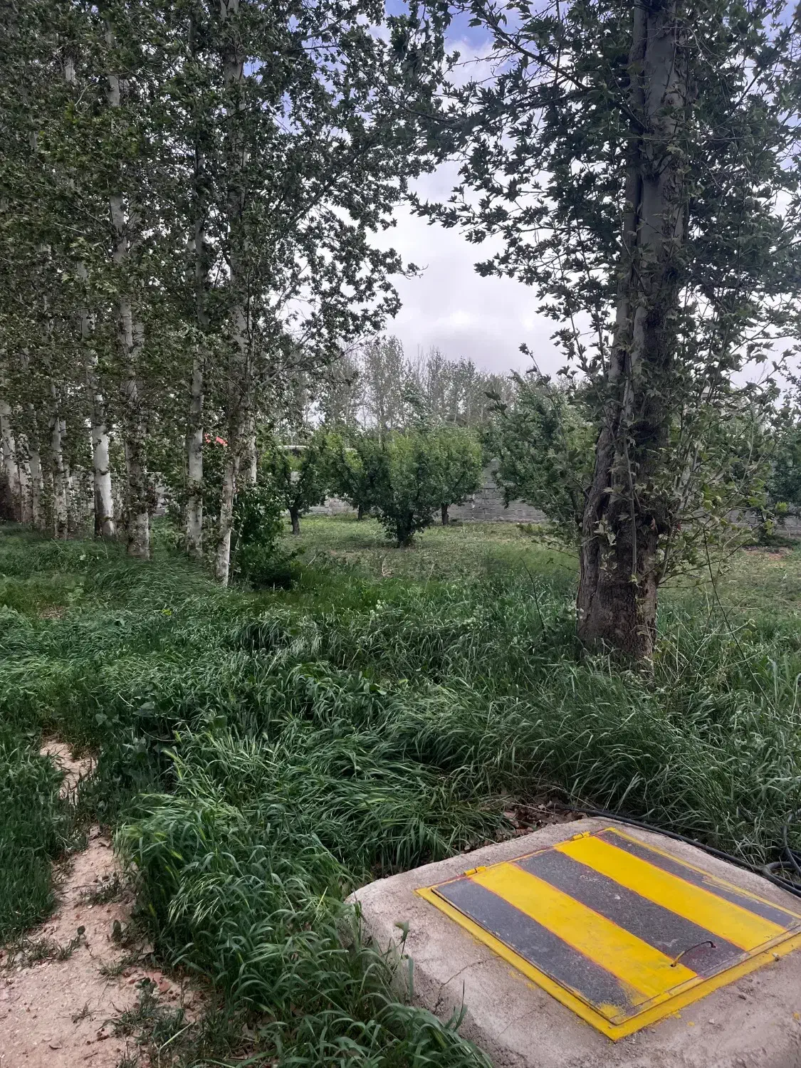 230 متر باغچه سنددار_شهرکی اول جاده سهیلیه