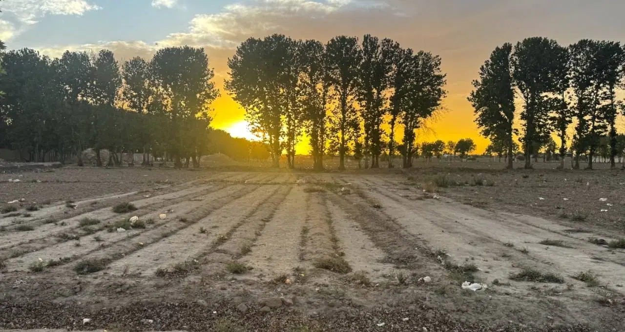 زمین زراعی بر جاده