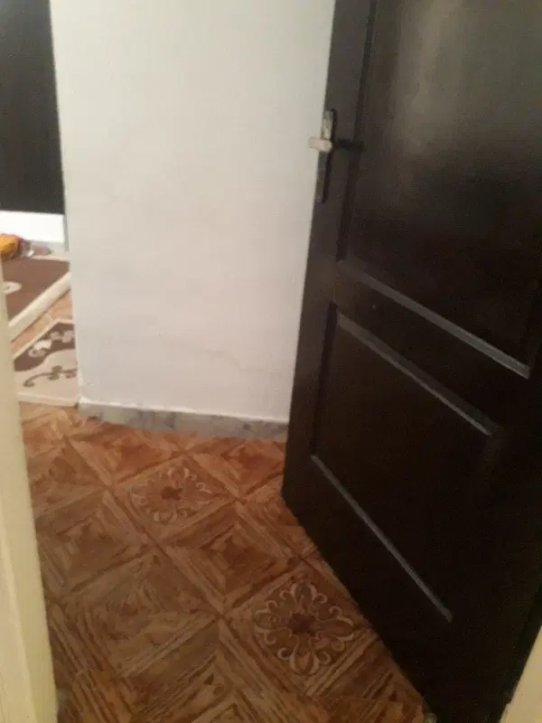 یک سوئیت مجردی