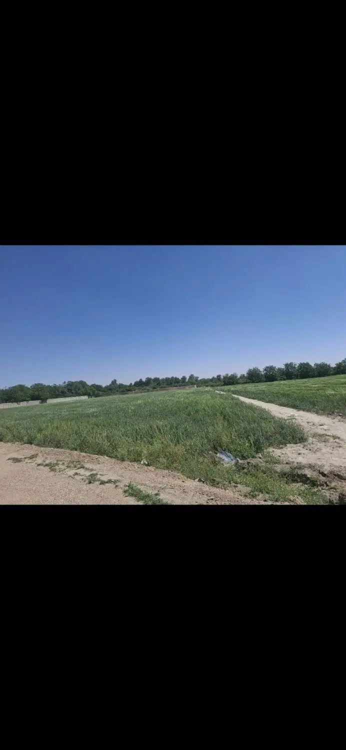 باغچه باغ سوله کارخانه زمین ۶۴۵ متری در شهریار