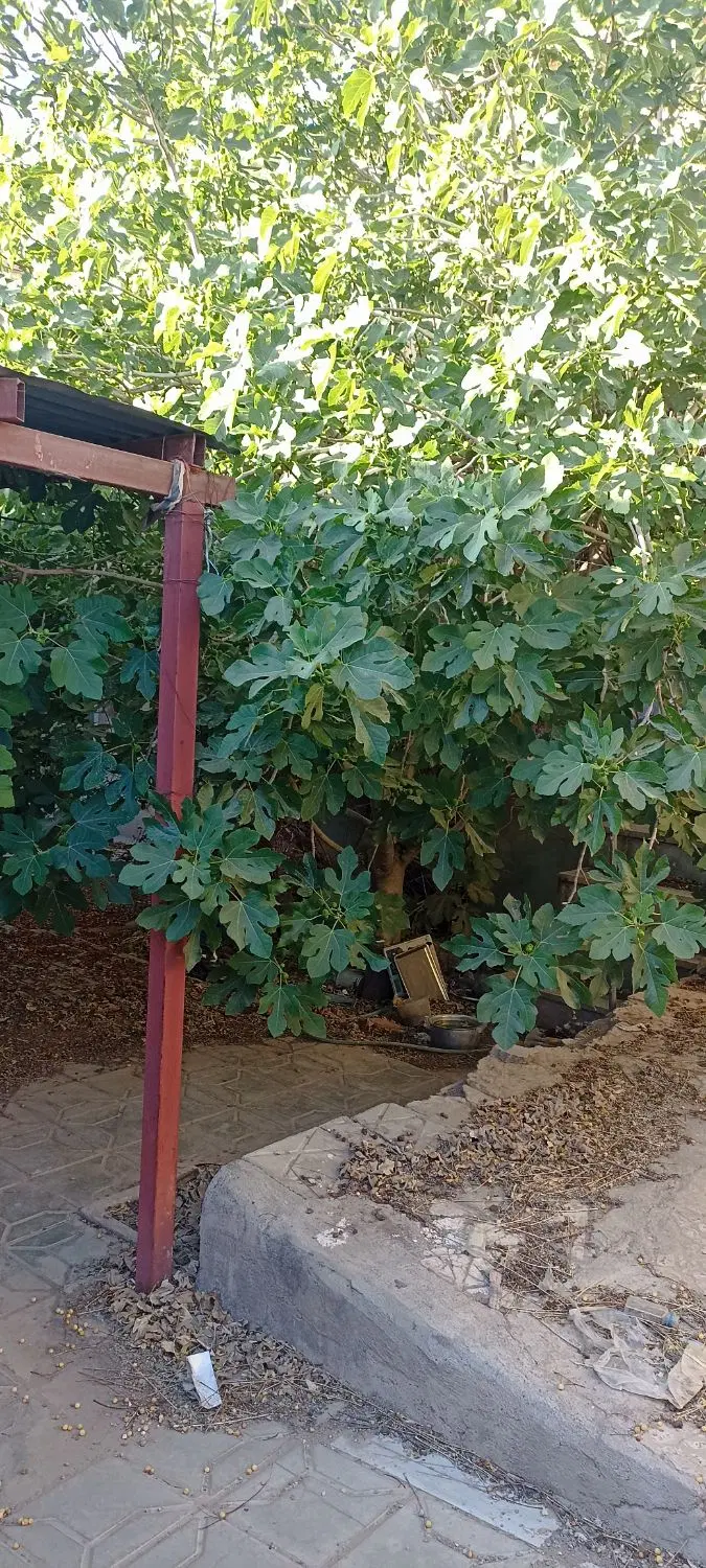 سلام خانه گنبدی