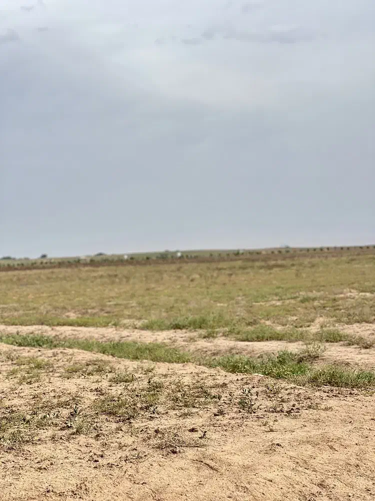 ۷۰۰۰مترزمین فقط متری*۱۵۰هزارتومان*
