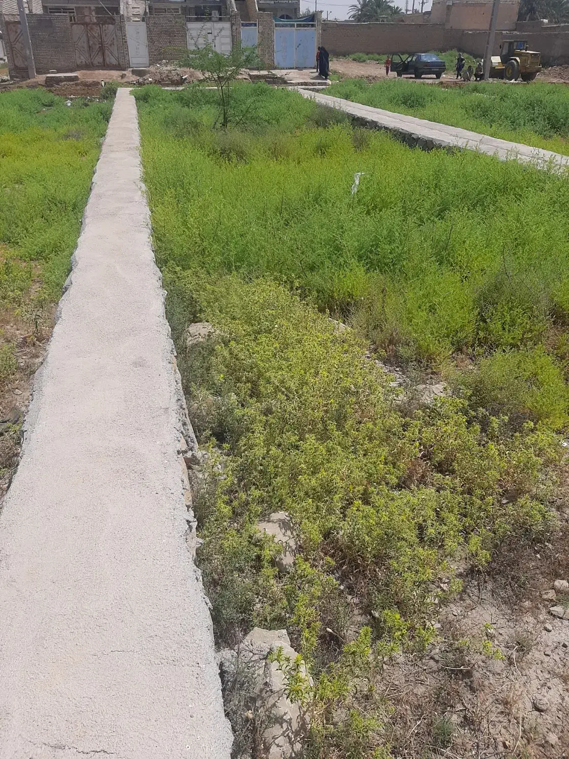 زمین شیبان