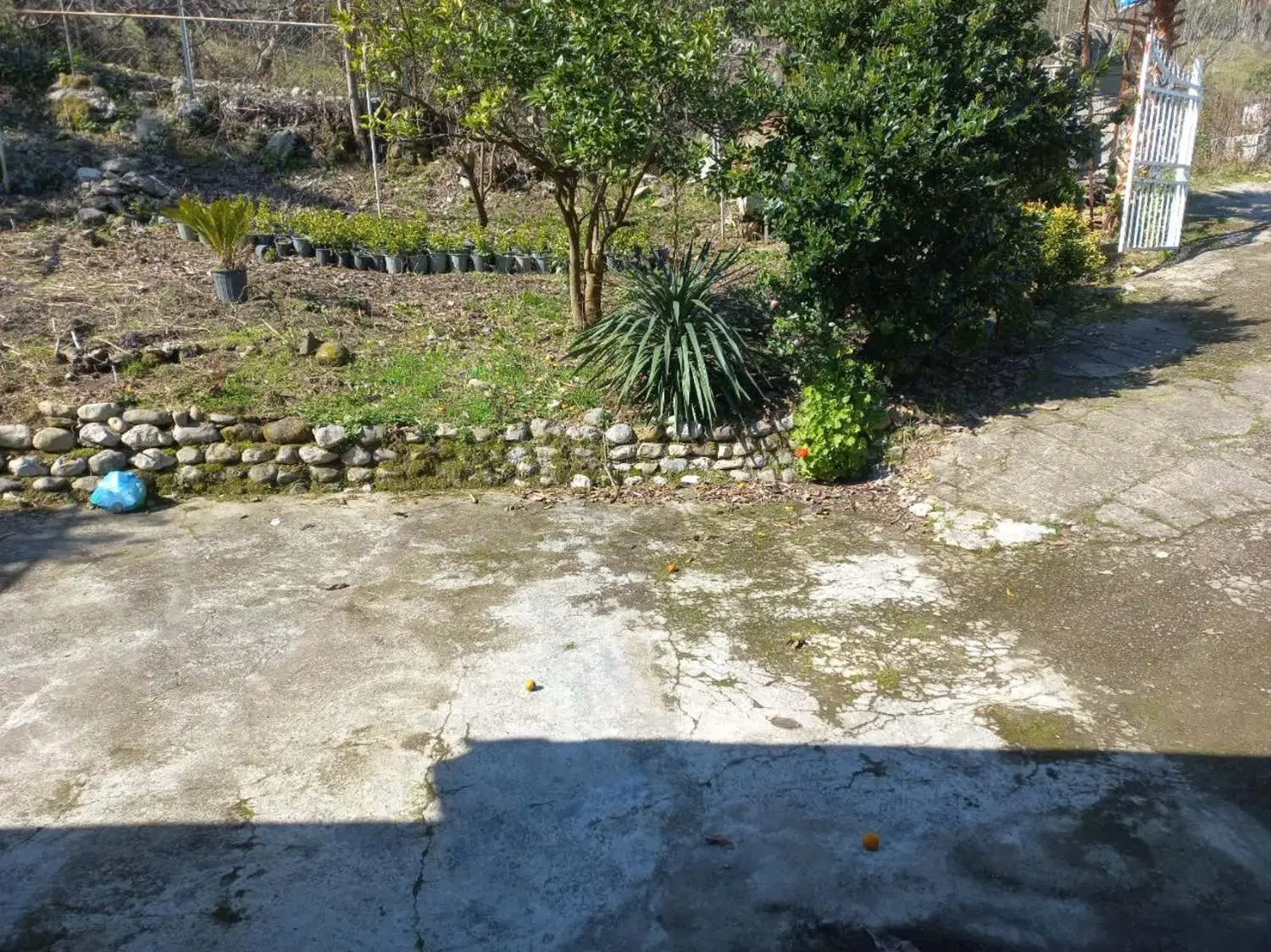 ۲۵۰ متر زمین مسکونی ۱۲میلیارد