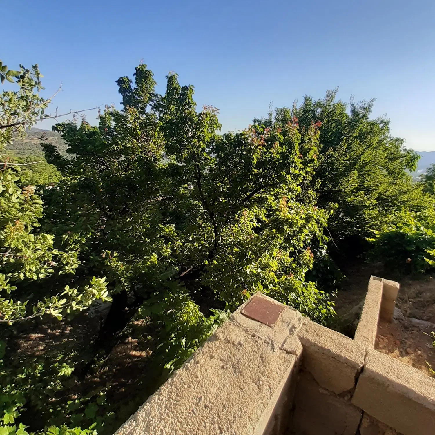 باغ خانوادگی تفریحی