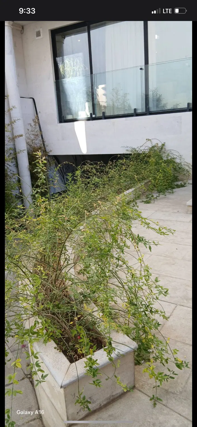 رهن واجاره سه خواب سال ۱۴۰۴