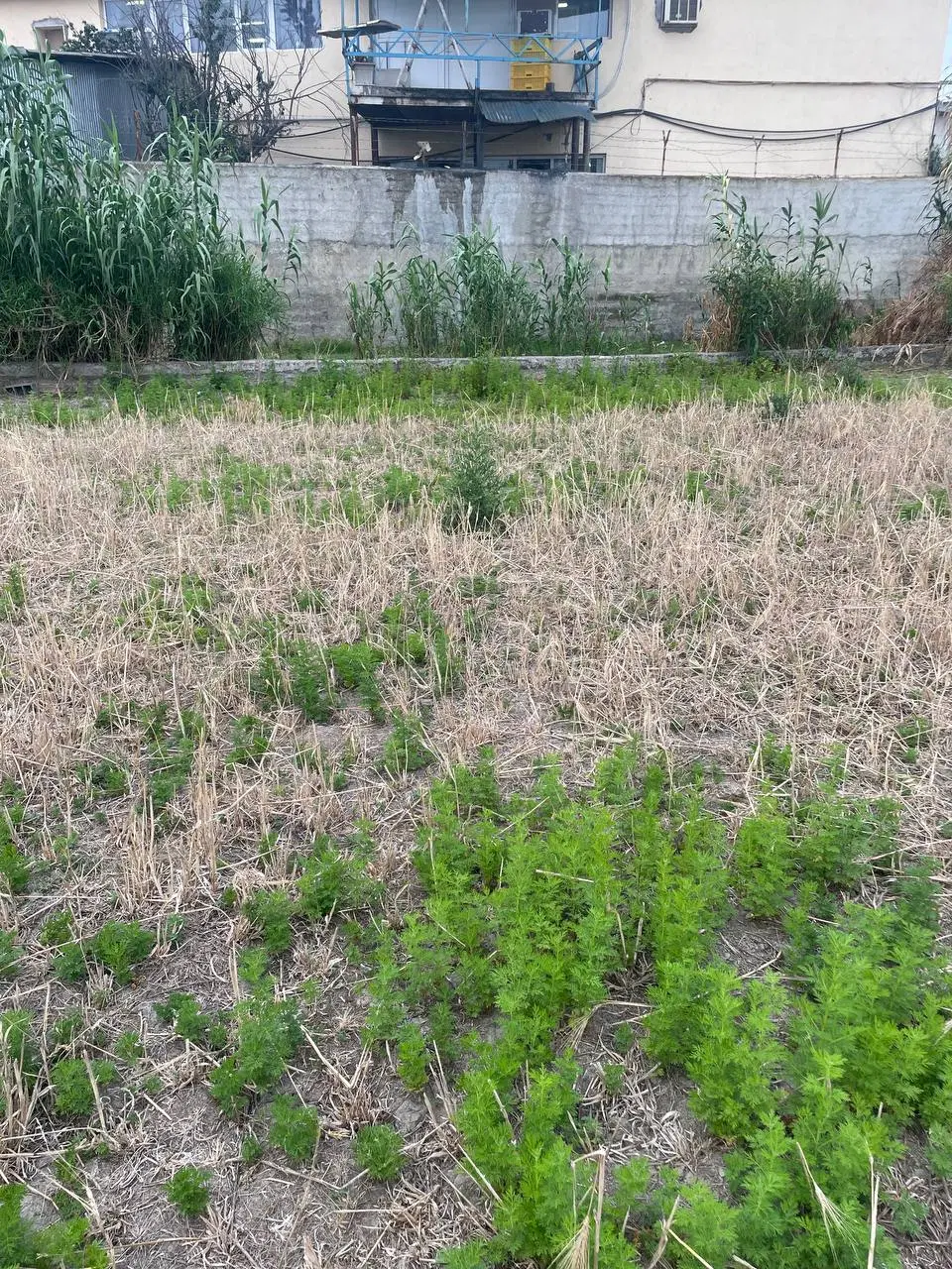 فروش زمین