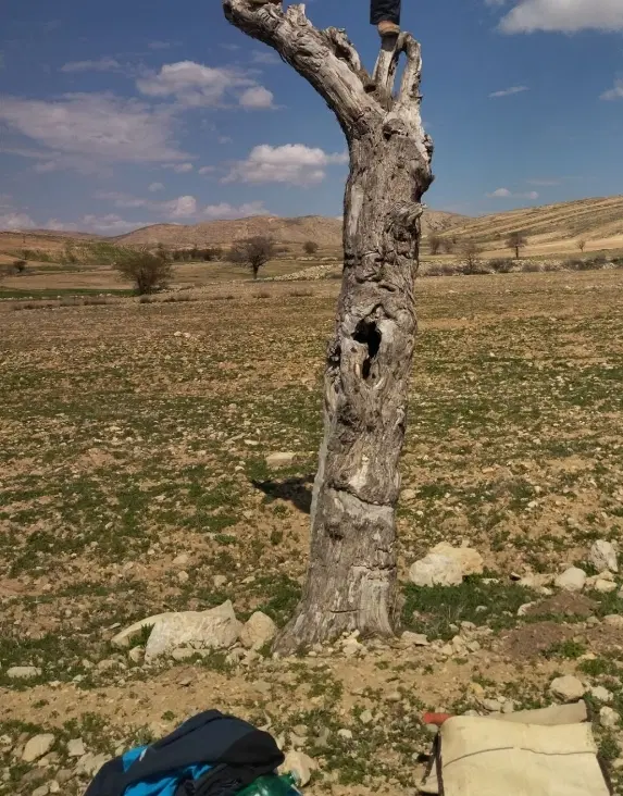 زمین دیمی کشاورزی