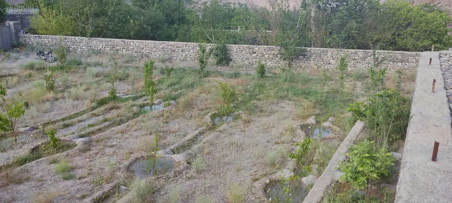 باغ فروشی در سیرچ