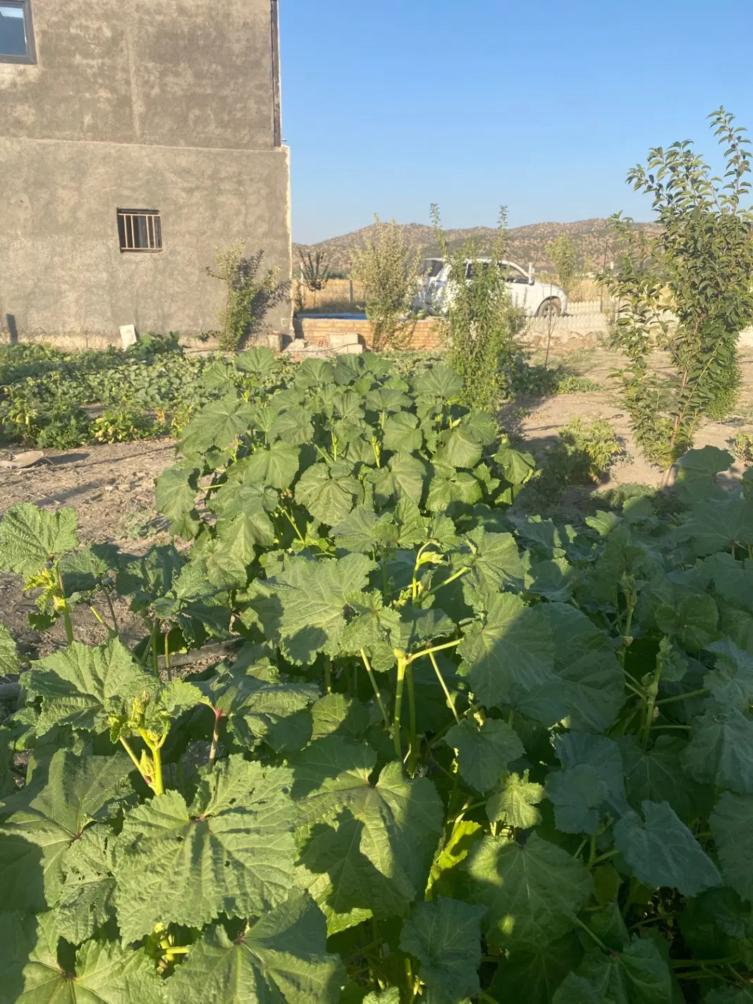 خانه باغ ۱۰۰۰ متری دو طبقه