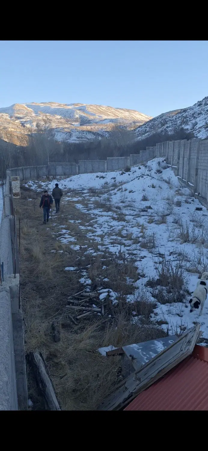 زمین مسکونی روستای رز