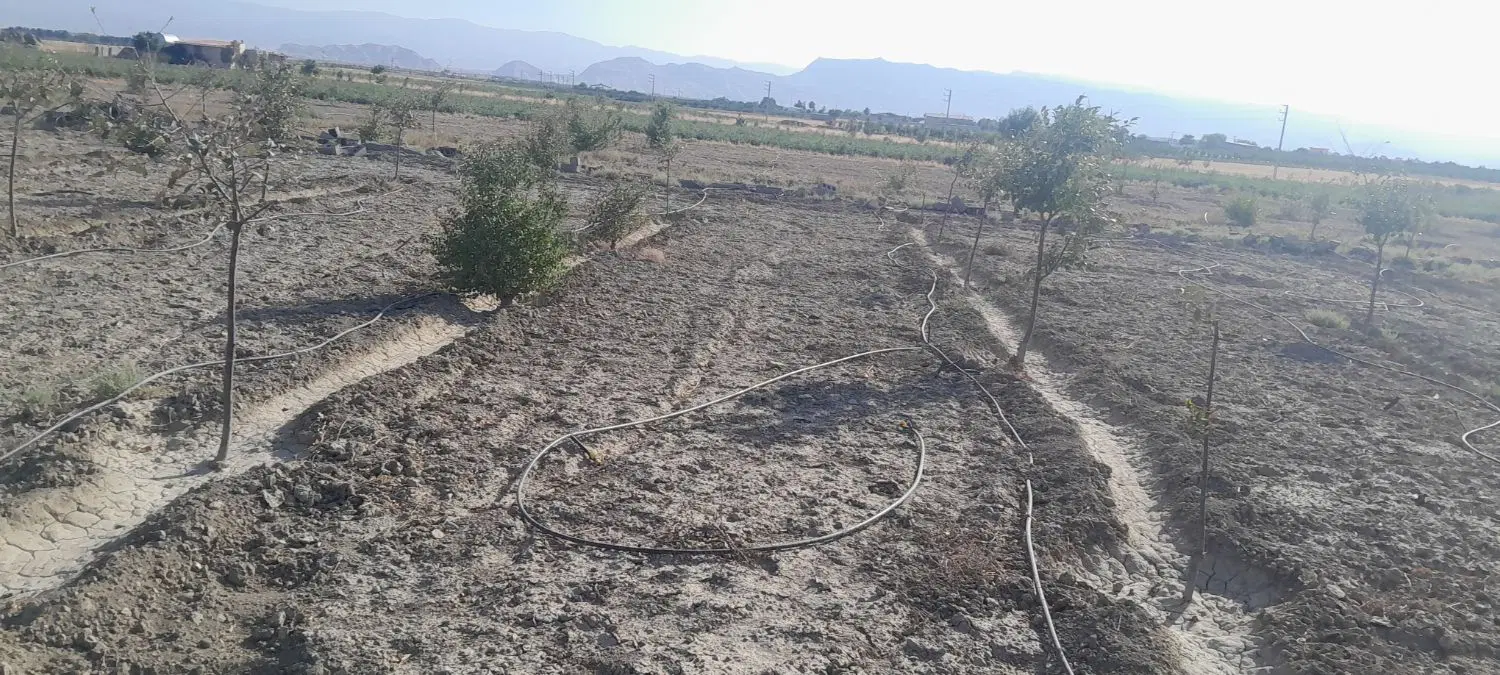 زمین باغی سند دار ۹۰۰ متر معاوضه با ماشین