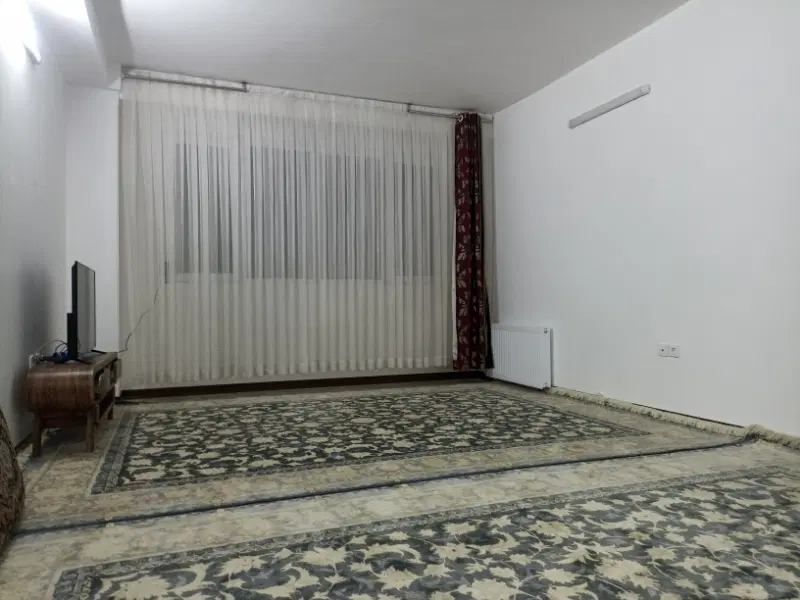 زیتون 41فروشی