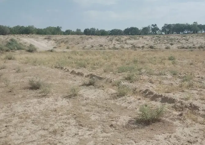 فروش ۴۰۰۰متر زمین دیمی در ساوه غرق اباد