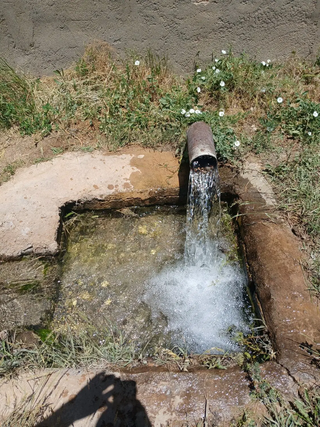 زمین مناسب باغ