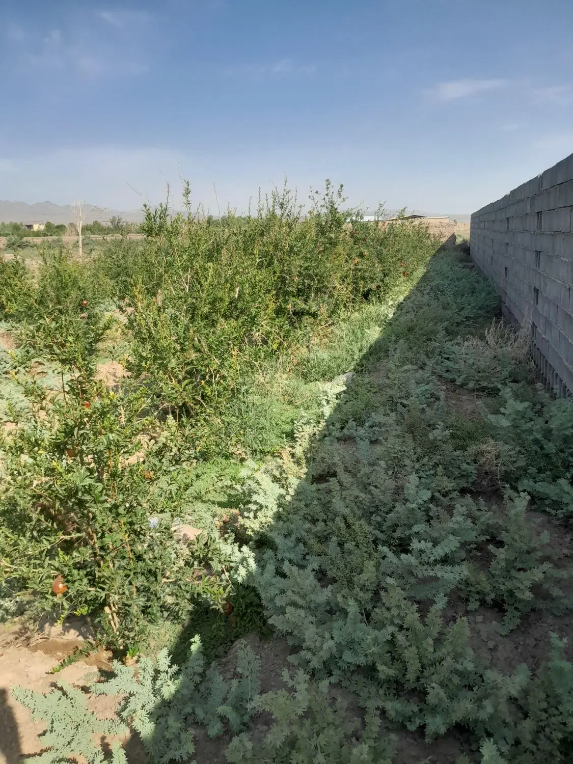 زمین فروشی