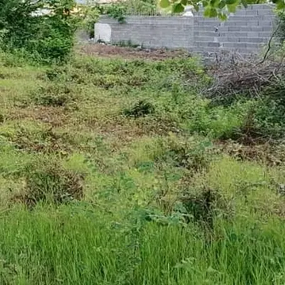 ۲۵۰ متر زمین شخصی دارم برای فروش یا معاوضه با خونه