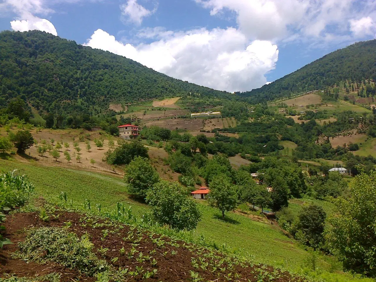 فروش زمین ویلایی