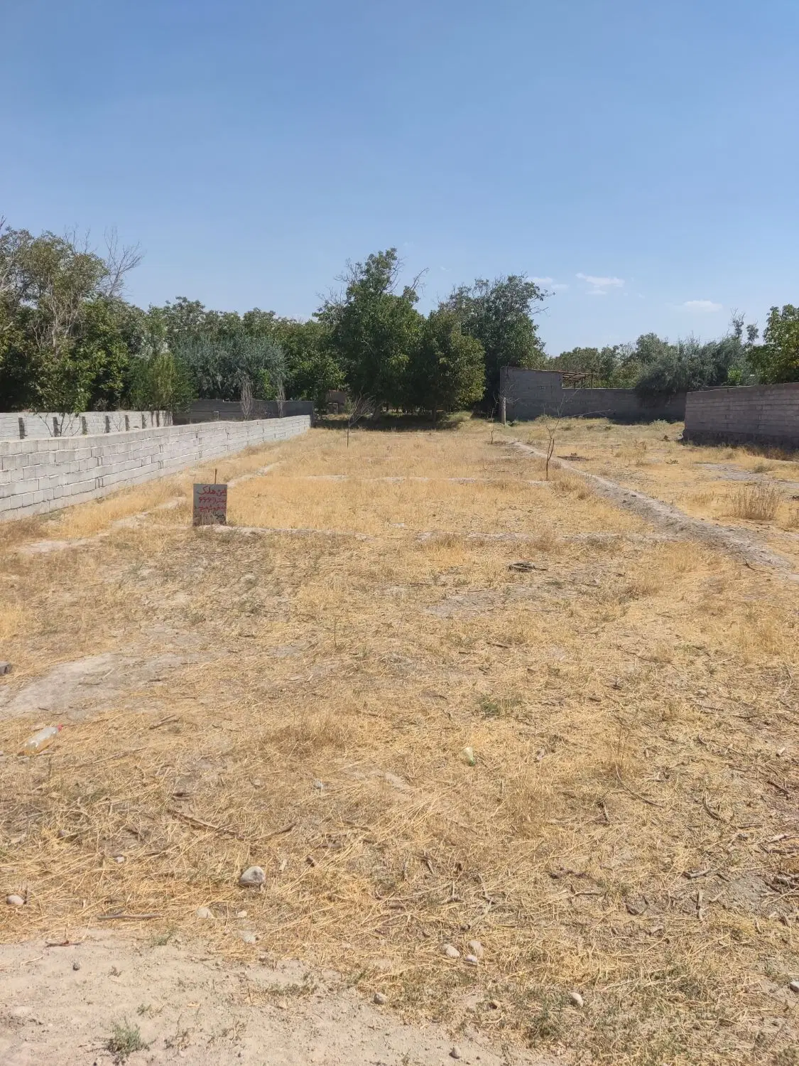 باغ در کلجاه اسکو