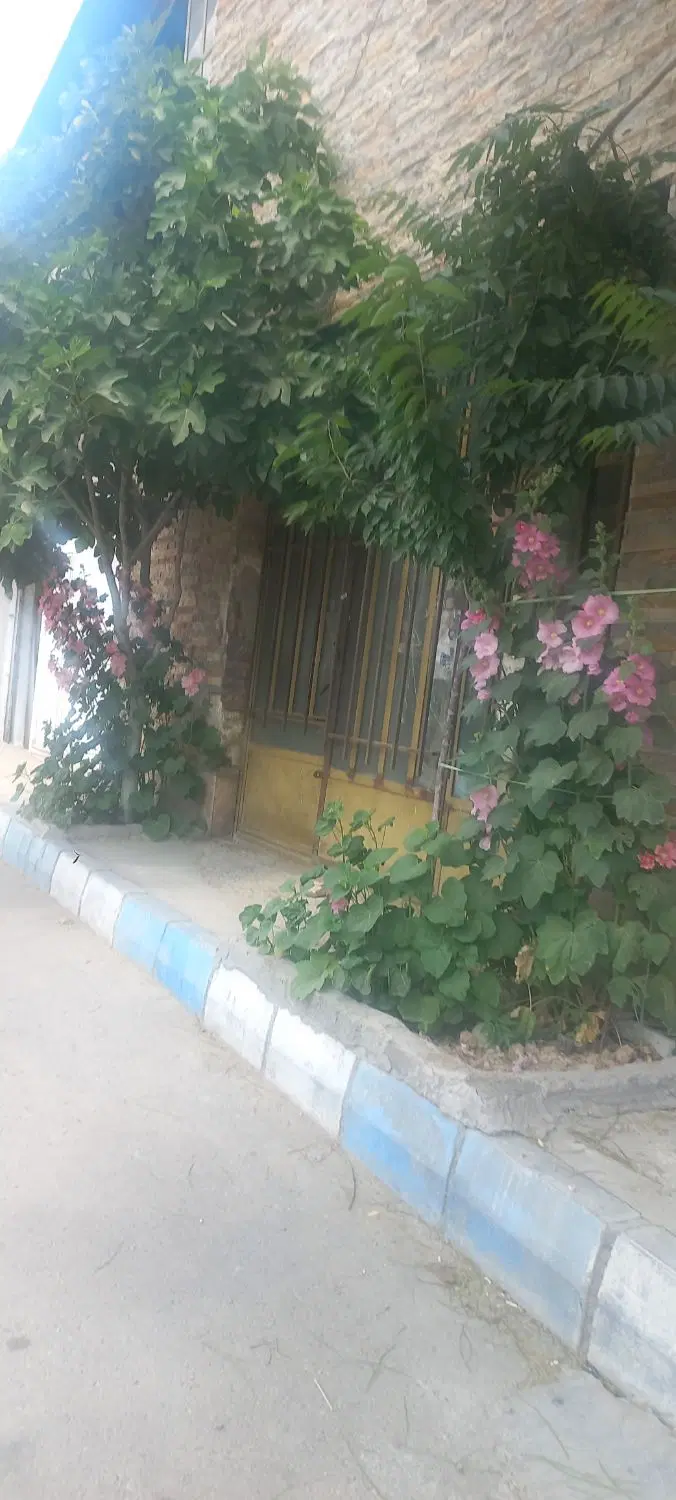 سوله ۴۰۰متربنا سندتک برگ درسیاسنگ درمیدان مادر
