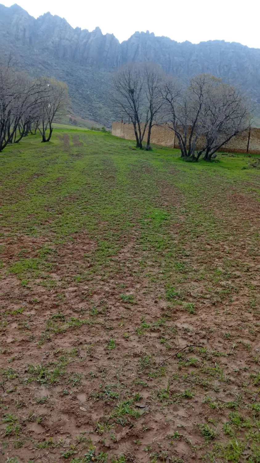 زمین قلعه سنگی سرمرغ