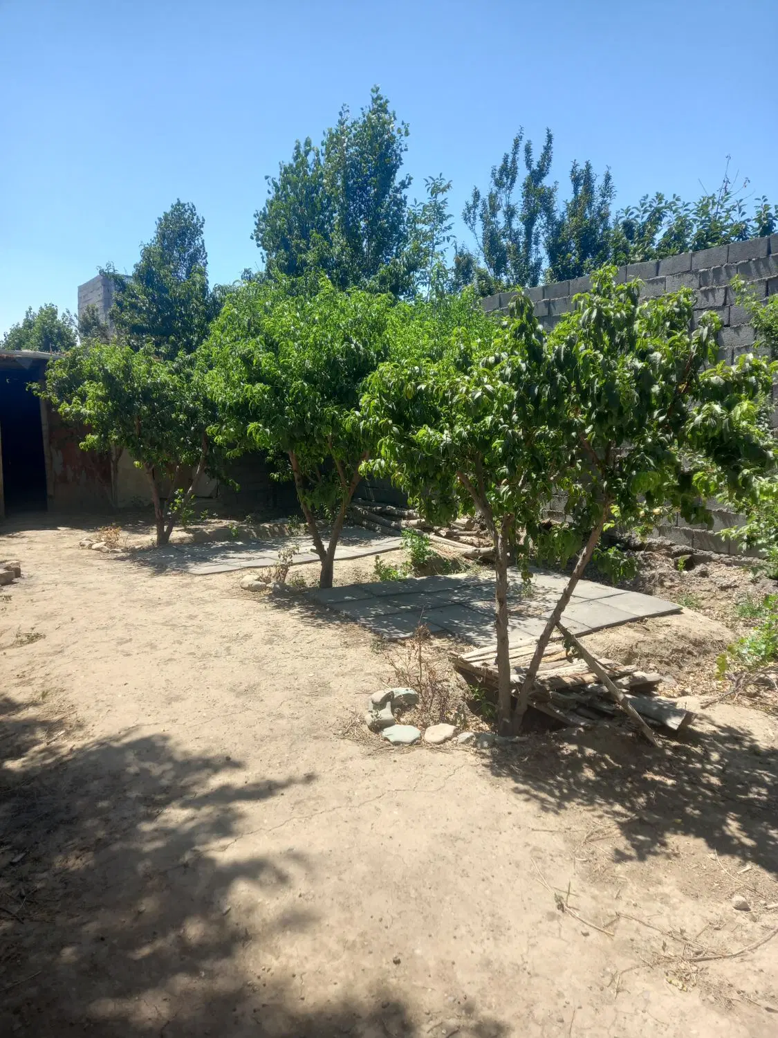 باغچه آزادگان صفا سند دار چهار دیواری
