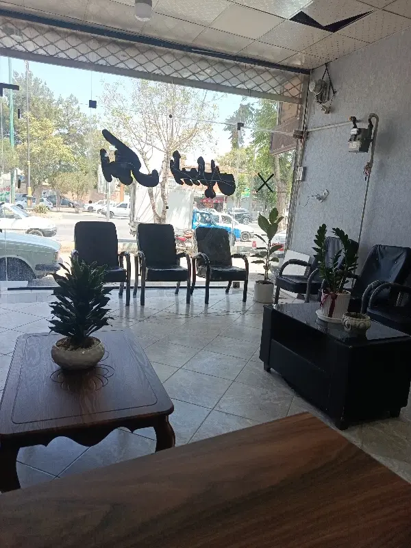 فروش حیاط ویلایی