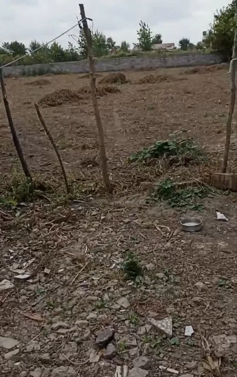 فروش زمین باغی داخل بافت