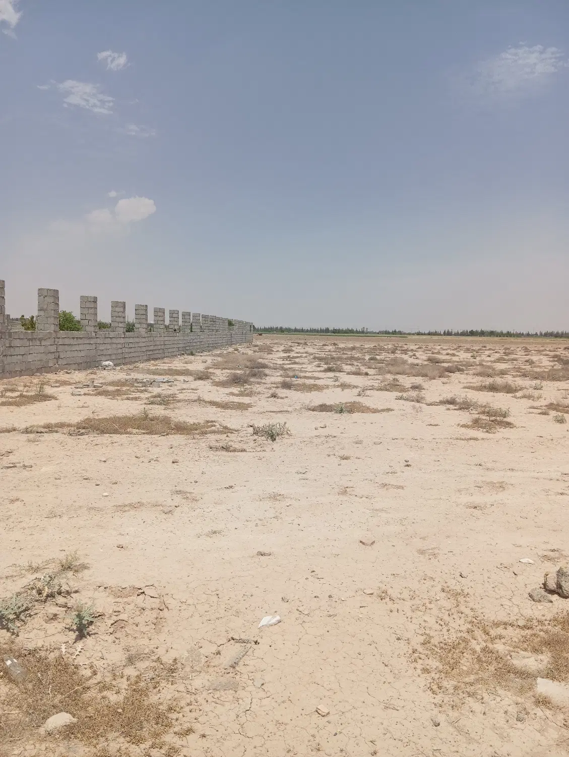 فروش زمین باغی