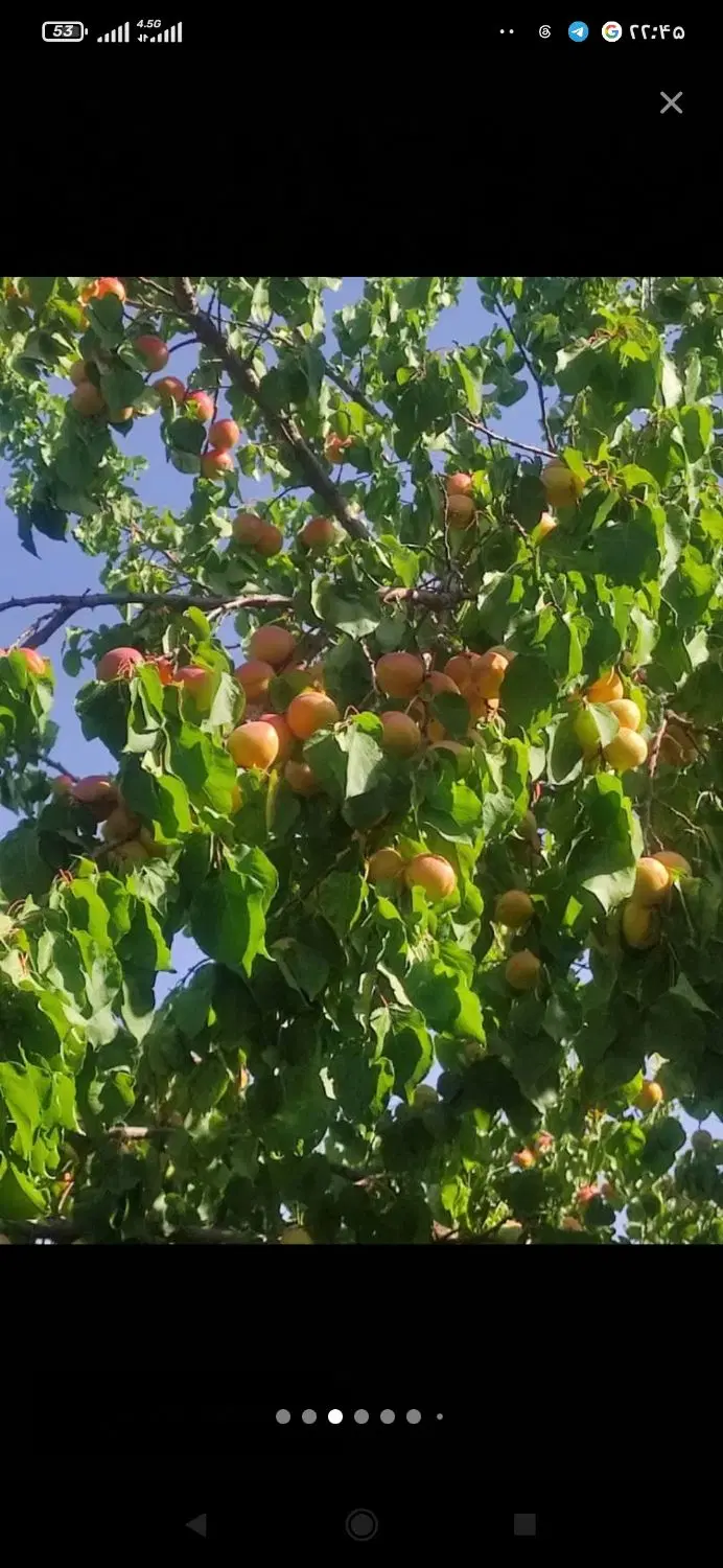 باغ ویلابر جاده اسپیران عتیق موقعیت عالی فروش فوری
