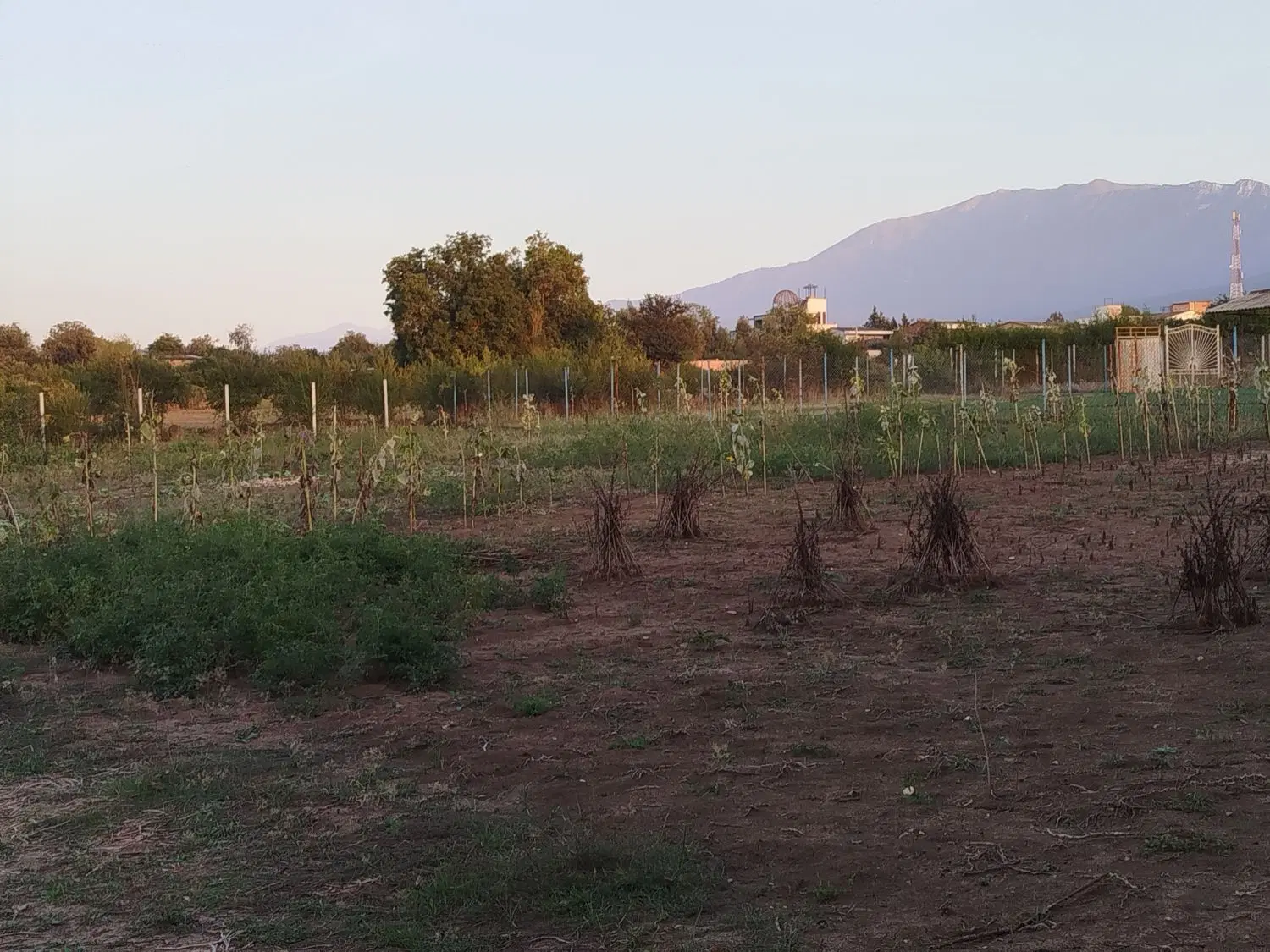 زمین فروشی