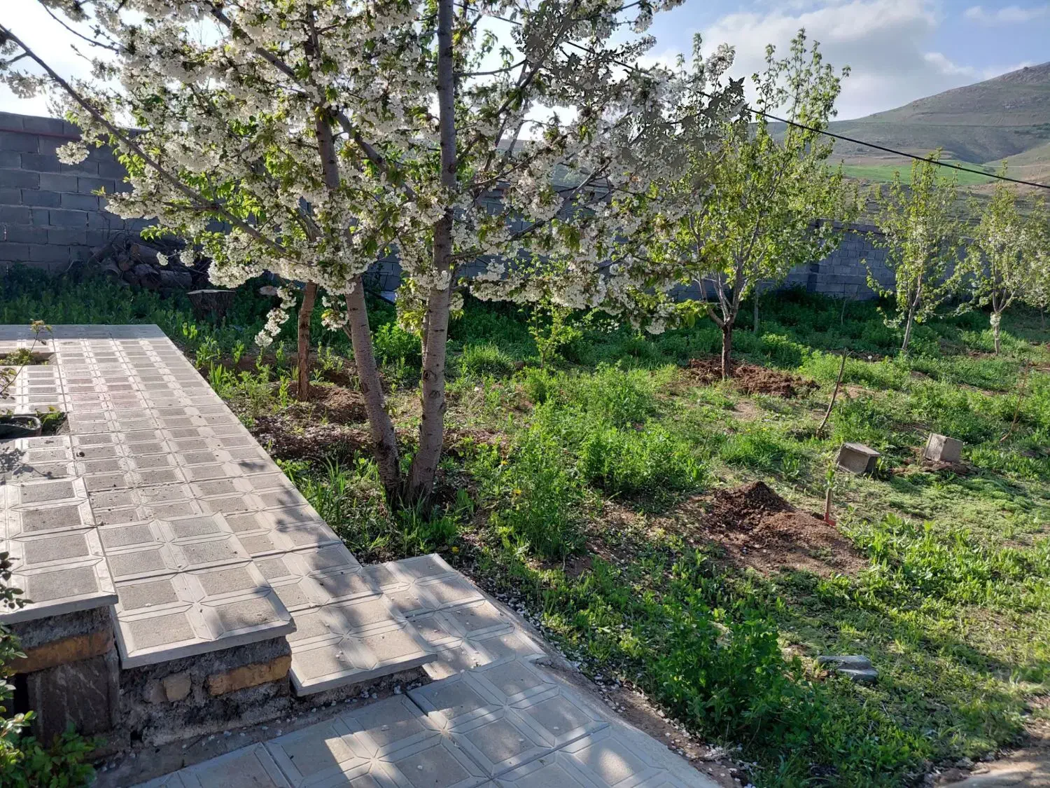 باغ ویلا اسدلی