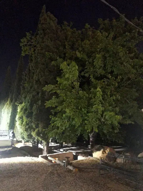 اجاره اپارتمان ۱۰۰ متری دو خواب شهرک گلستان