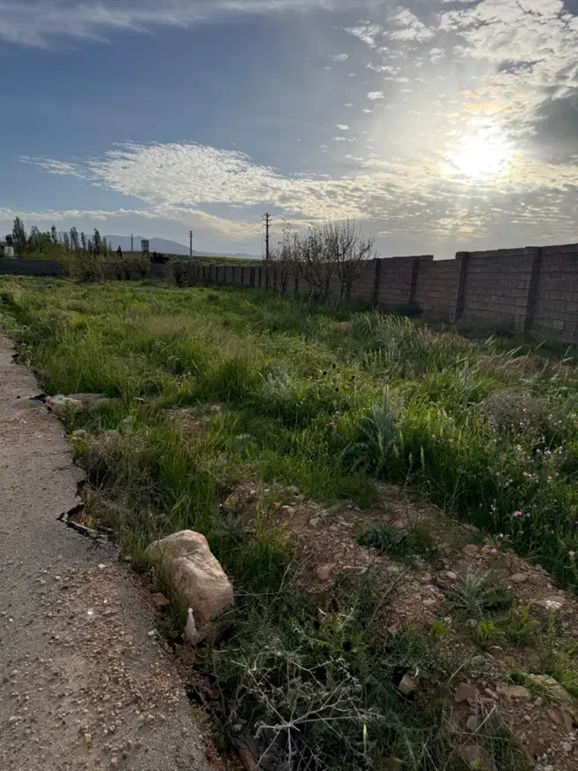 باغ کوهمره سرخی