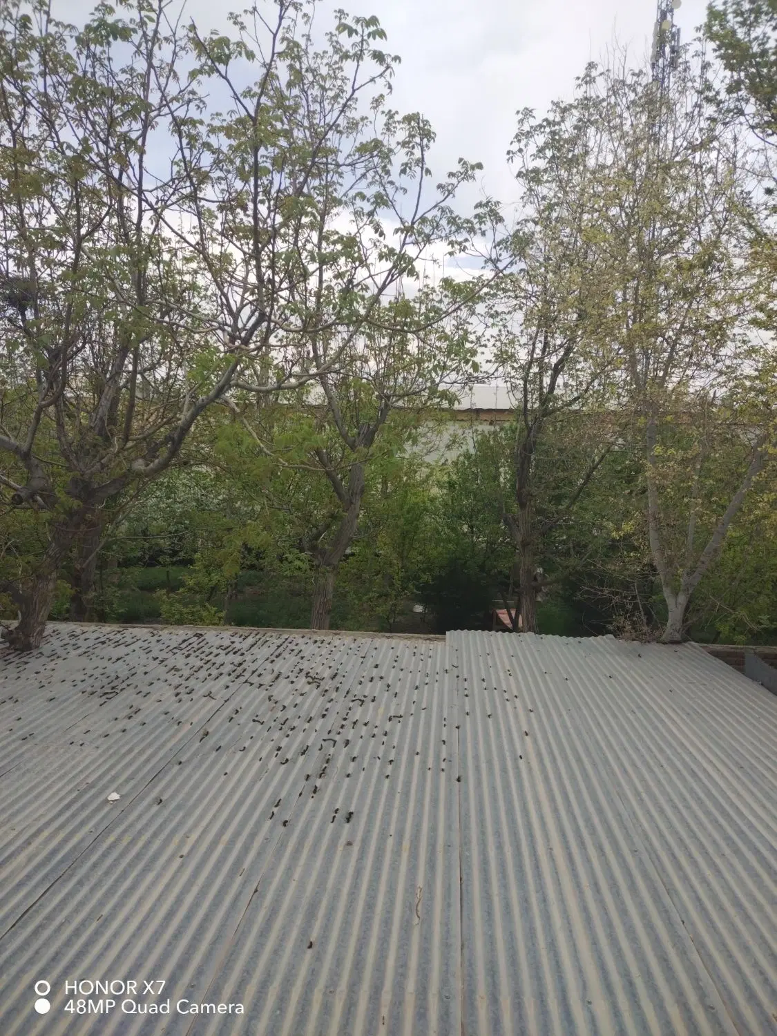آپارتمان اجاره