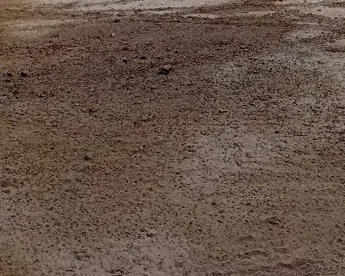 زمین ۲۲۰ متری