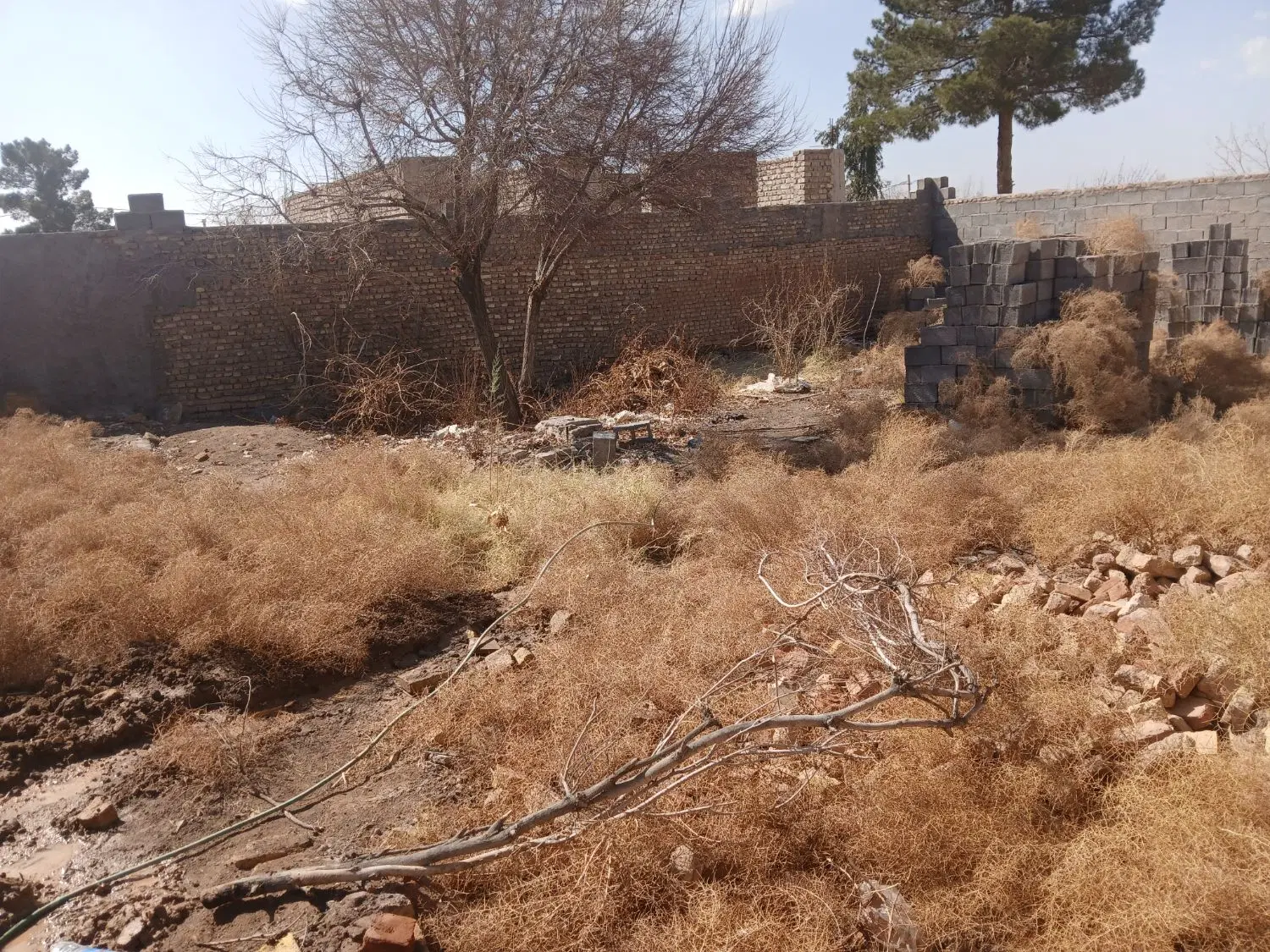 فردوسیه‌ آزادگان