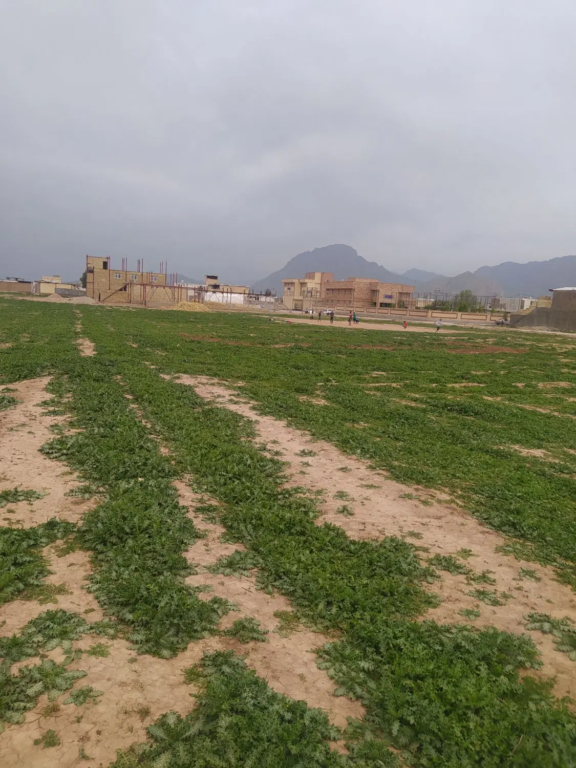 فروش زمین در تلوری