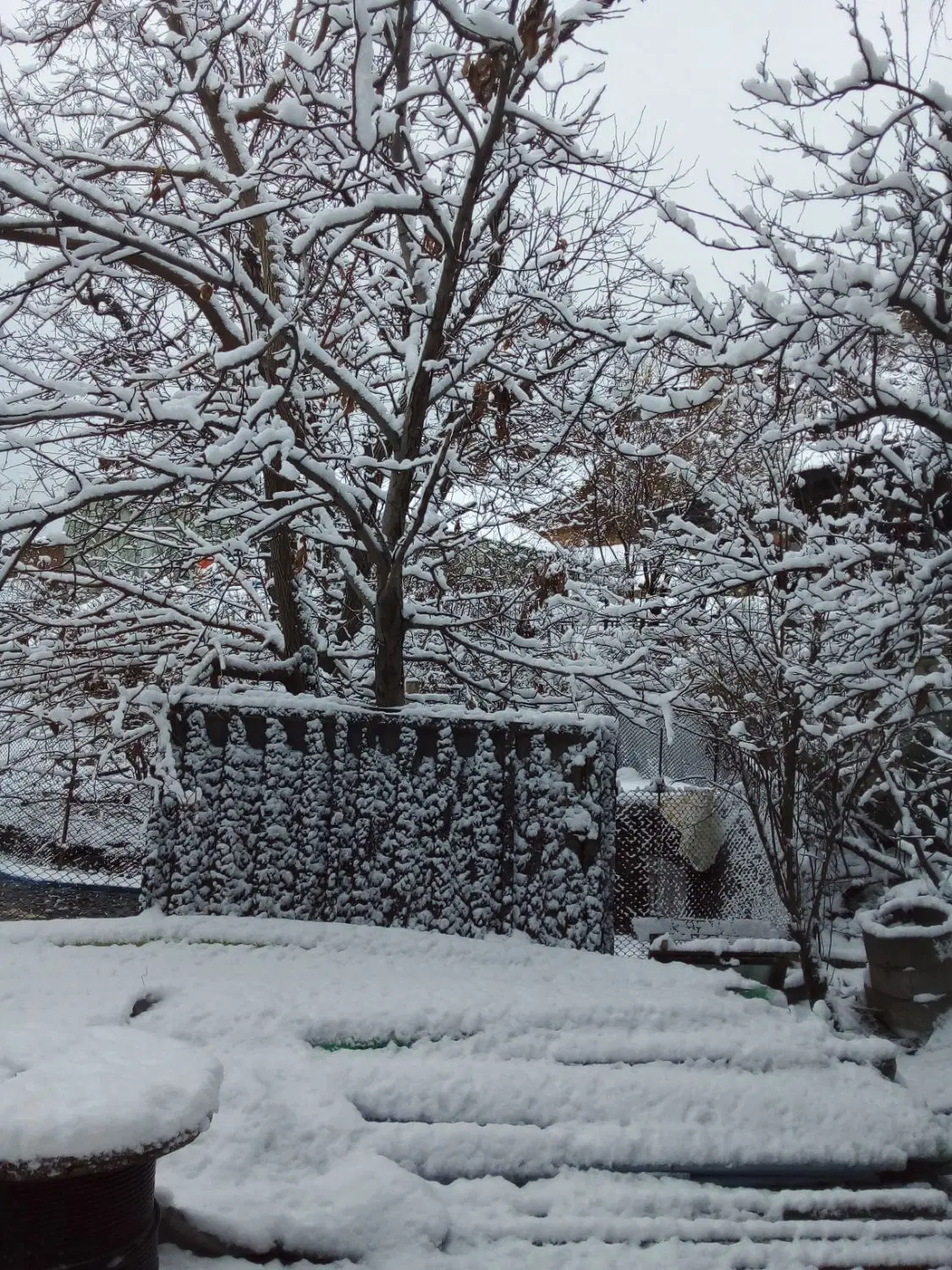ملک دربستی ۶۰ متری
