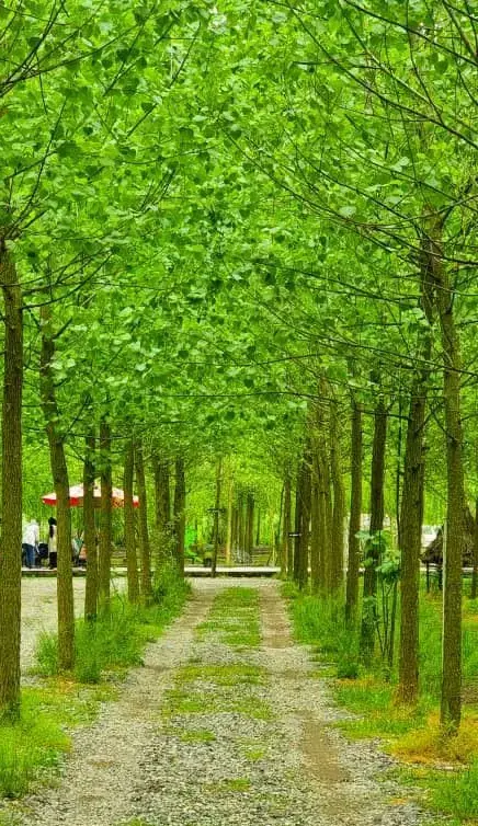 کسب تجربه متفاوت در پروژه ای انحصاری