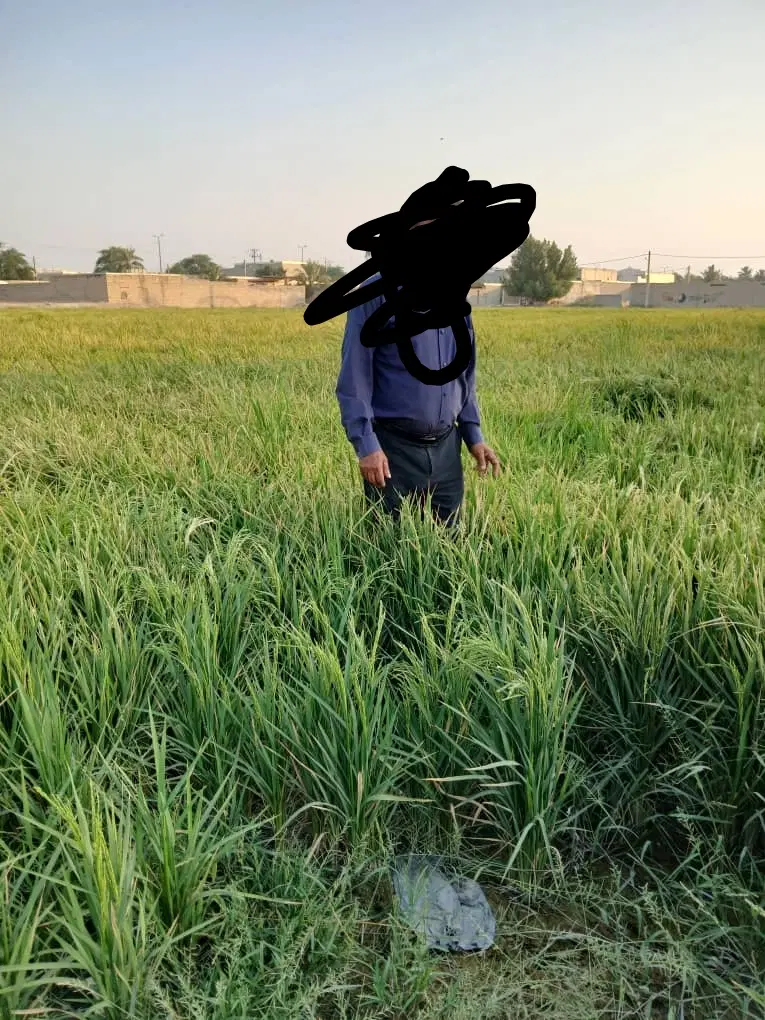 فروش زمین کشاورزی