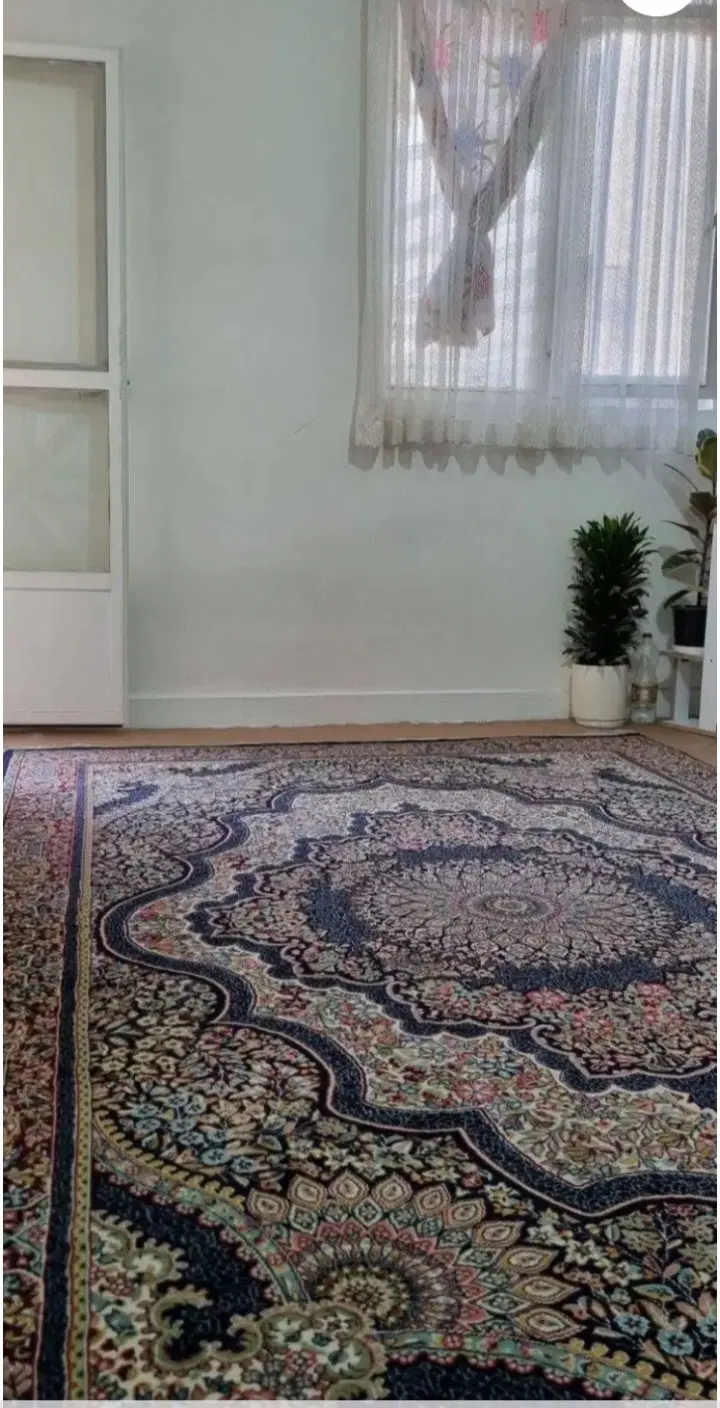 ۷۰ متری  شاخه اصلی