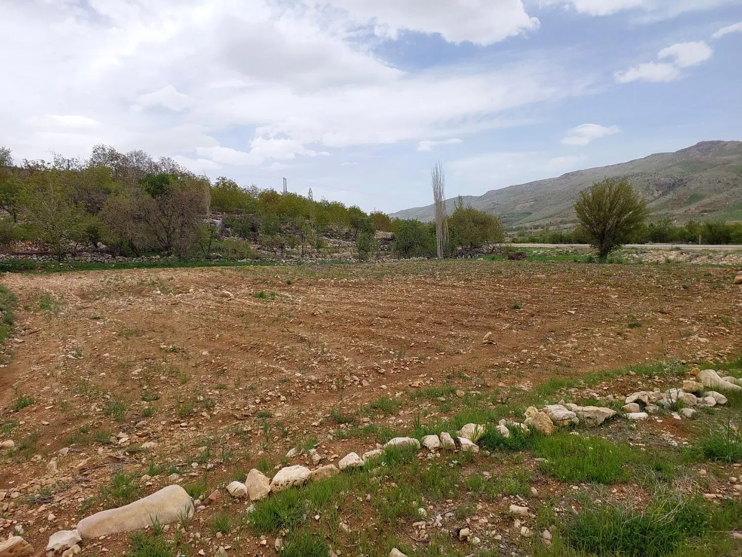 زمین‌ فروشی