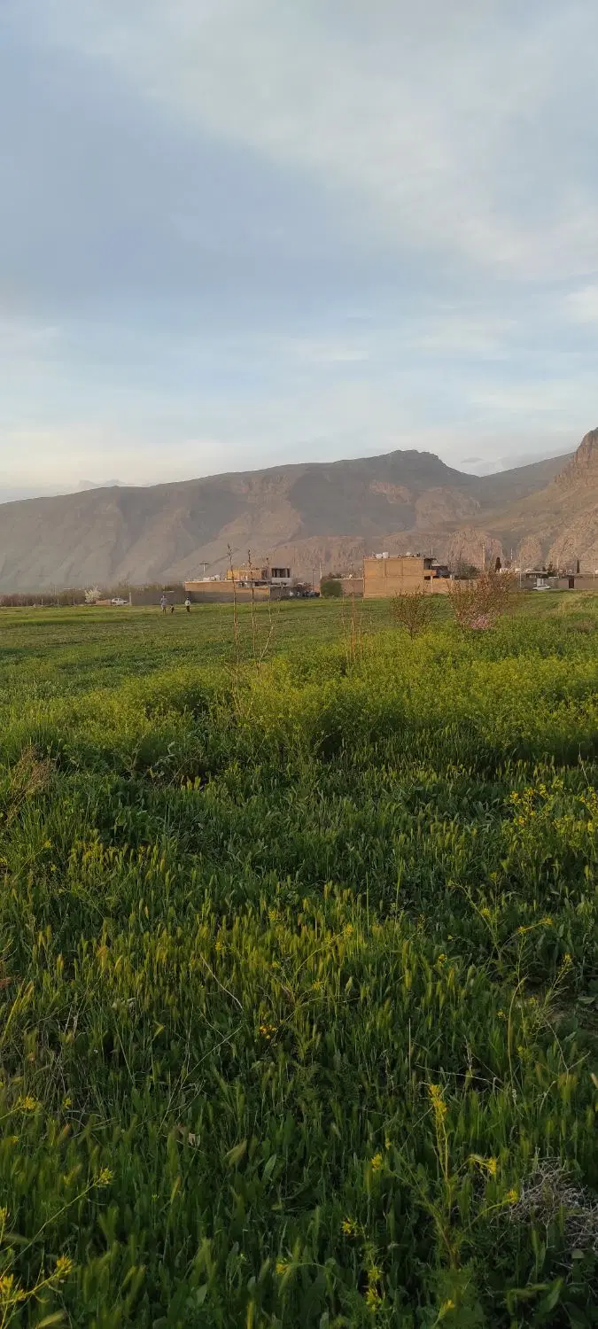 فروش زمین جهت باغ شهری وگلخانه