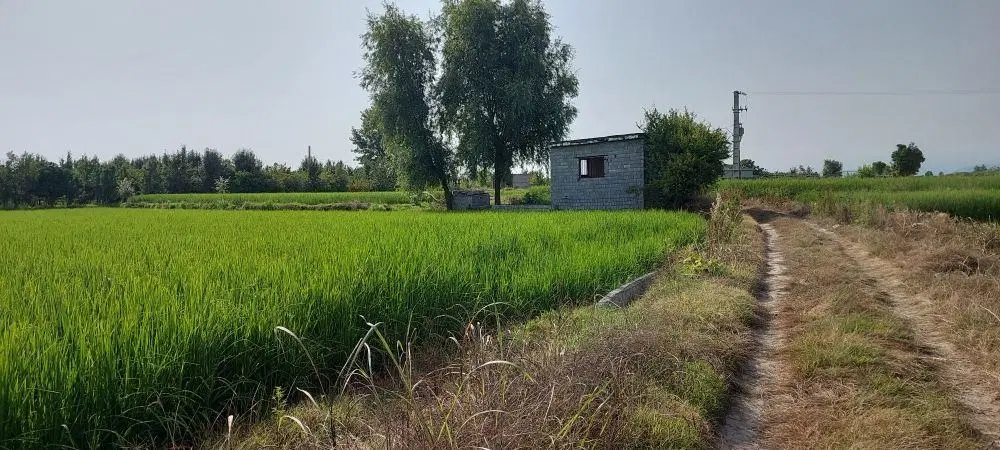 فروش زمین کشاورزی