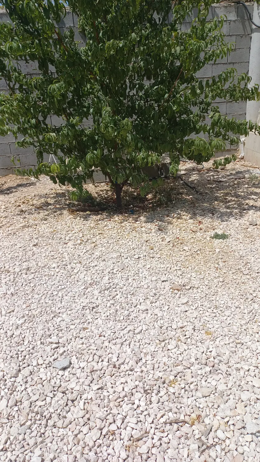 فروش زمین تجاری