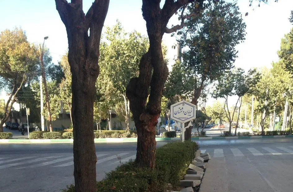 فروش آپارتمان در خیابان دشتستان خیابان صفوی نژاد